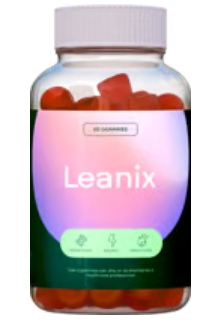 Leanix